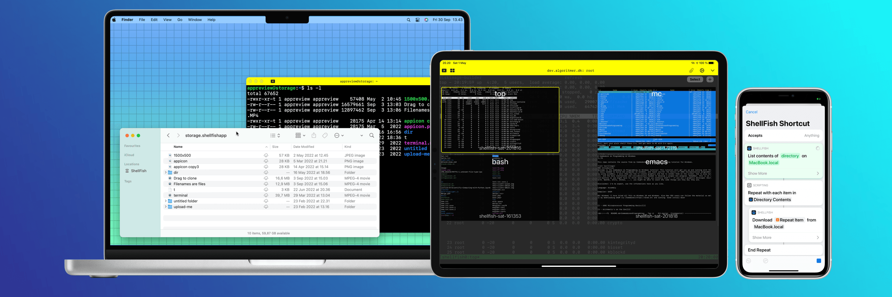 Anders Borum
